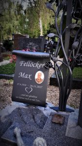 Fellöcker Am Friedhof1